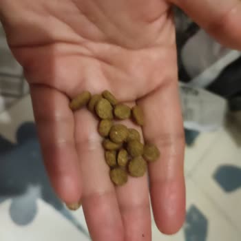 Hepsiburada Kedi Maması Hayal Kırıklığı