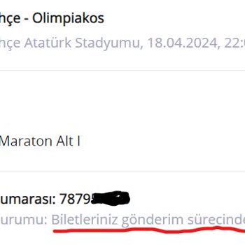 Seatpin Bilet Aktarımı Gecikmesi Hakkında Bilgilendirme Talebi
