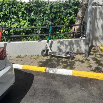 Martı Kendi Özel Alanımıza Scooter Bırakılması