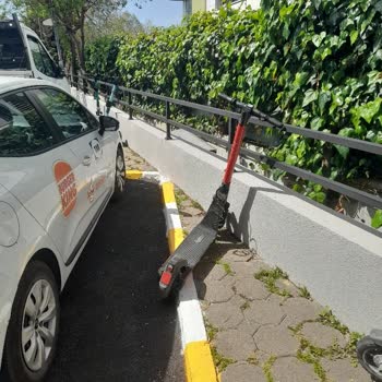 Martı Kendi Özel Alanımıza Scooter Bırakılması