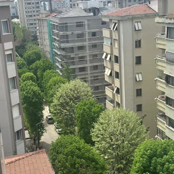 Kadıköy Belediyesi Yüzünden İnşaat Mağduru Vatandaş