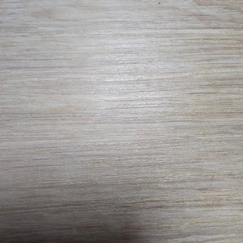 Bir Daha Asla Pronet Den Hizmet Almam Ve Kimseye Aldırmam