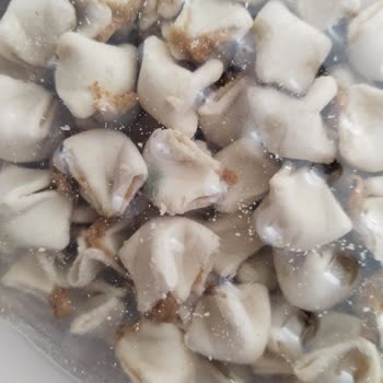 Kaşık-la Mantı Son Tüketim Tarihi Geçmemiş Küflü Mantı