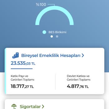 Birikimlerim Eriyor: Anadolu Hayat Emeklilikte Kayıp Şaşkınlığı