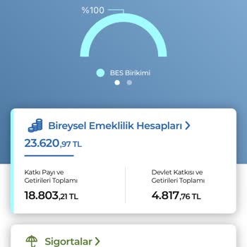 Birikimlerim Eriyor: Anadolu Hayat Emeklilikte Kayıp Şaşkınlığı