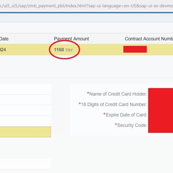 Bursa Gaz Online Ödemede Mecburi Taksit Ve Vade Farkı