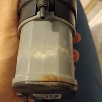 Köşk Akvaryum ve Pet Dünyası İkinci El Ürün Satıp İade Almadı