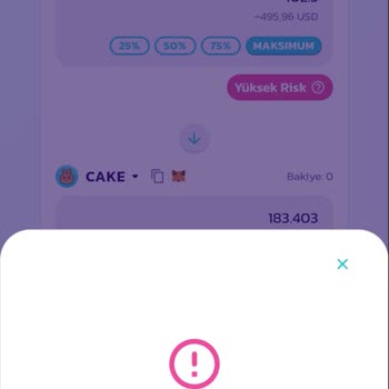 PancakeSwap Borsası Omni Coin