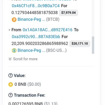 Pancakeswap Kripto Yatırımımda Beklenmedik Sorunlar