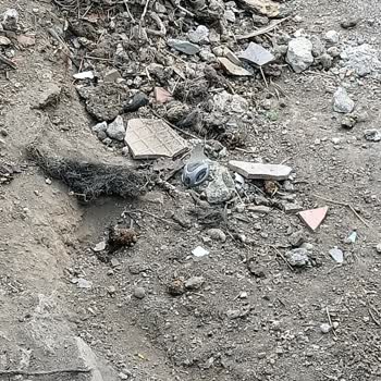Ümraniye Belediyesi Kedi Ve Köpeklerin Pisliğinden Evimize Giremiyoruz