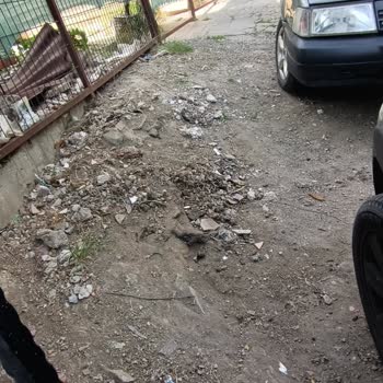 Ümraniye Belediyesi Kedi Ve Köpeklerin Pisliğinden Evimize Giremiyoruz