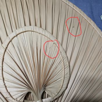 Mylamp Paketleme Hatasından Dolayı Ürün Hatasını Telafi Etmiyor