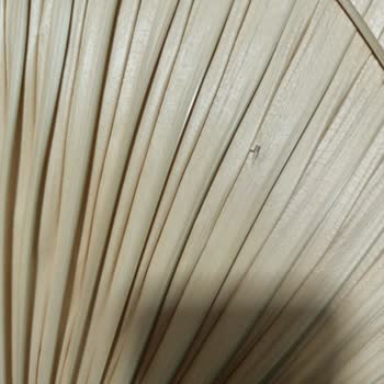 Mylamp Paketleme Hatasından Dolayı Ürün Hatasını Telafi Etmiyor