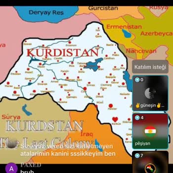 TikTok Uygunsuz İçerikli Yayınlar Ve Saygısızlık