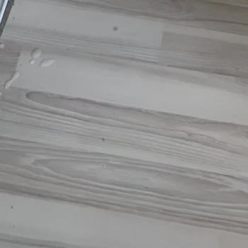 Roborock S6 Max Devamlı Arıza Veriyor