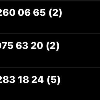 Dyson Sahte Site Uyarısı