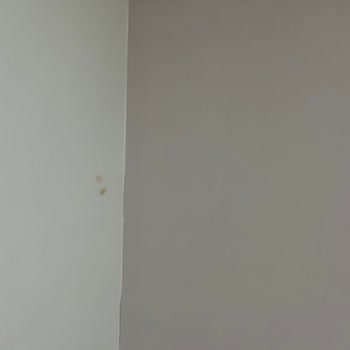 Tatil Sepeti İtalya Tur Şikayeti