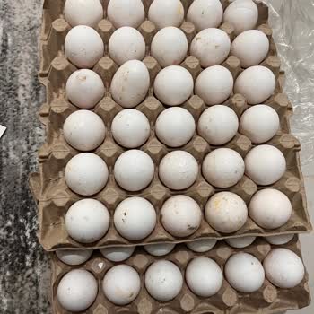 Getir Büyük Bozuk Yumurta Getirdi