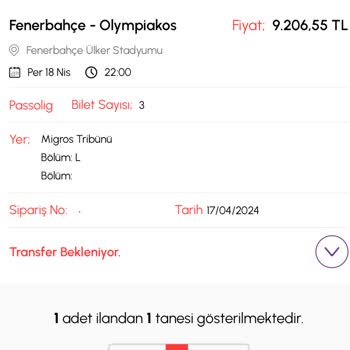 Biletalsat.com Biletimize Ulaşamıyoruz, Destek İstiyoruz!