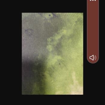 Aras Kargo Çamlık Begonya Şubesi Teslimatları