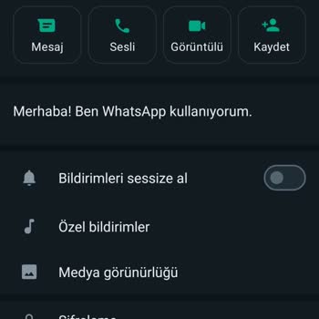 WhatsApp'tan Yabancı Numara Aranma