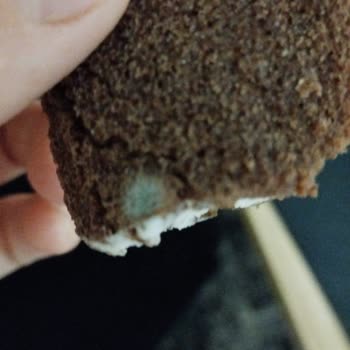 Kinder Süt Dilimi Küf Çıkması