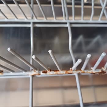 LG Bulaşık Makinesi Rafları Küflendi Ve Marka Hiç Yardımcı Olmuyor.