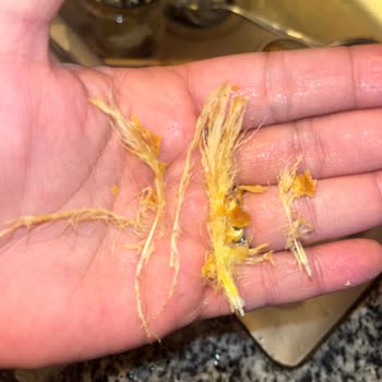 Keskinoğlu Kanatları Üzerinde Tüylü Tavuk.