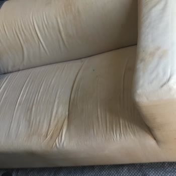 Missafir'in Haftalarca Evdeki Sorunları Çözmemesi