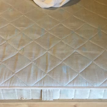 Missafir'in Haftalarca Evdeki Sorunları Çözmemesi
