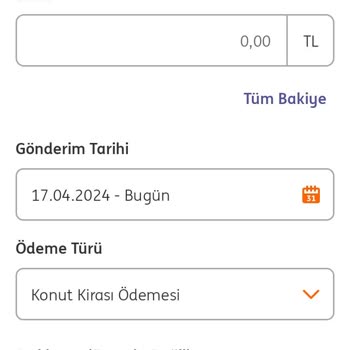 ING Para Transferi Ödeme Türü Hatası