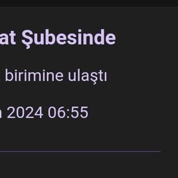 Hepsijet Kargomu Dağıtıma Erken Çıkarmıyor