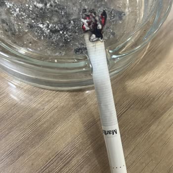 Philip Morris Kalitesiz Üretim Sorunu