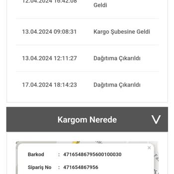 Bir Günde Kargo Teslim Edilmeyen Kargo