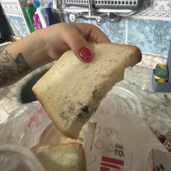 Yasa Tesisleri 2 Günde Küflen Ekmek Ve Son Kullanma Telaşı!