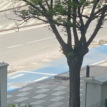 Şehitkamil Belediyesi Kaldırımlarda Yürürken Yaralanıyoruz