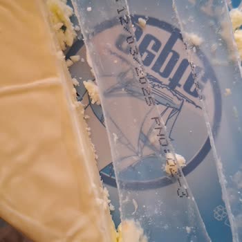 Şavak Peynircilik Tulum Peynirinden Böcek Çıktı