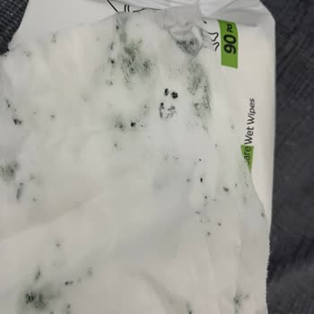 Sleepy Islak Mendil Küflendi