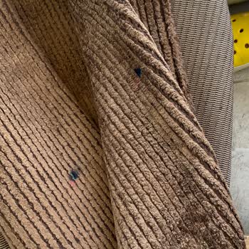 Paris Halı Yıkama Halı Temizliğinde Beklenmedik Sonuçlar!