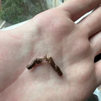 Mom's Natural Foods Marka Granolanın İçinden, Bakır Telli Kablo Çıktı!