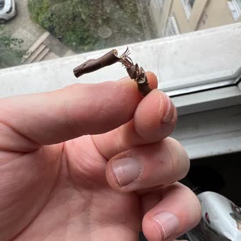 Mom's Natural Foods Marka Granolanın İçinden, Bakır Telli Kablo Çıktı!