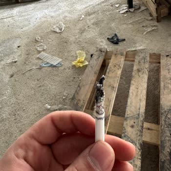 Philip Morris Tütünün İçindeki Yabancı Madde