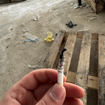 Philip Morris Tütünün İçindeki Yabancı Madde