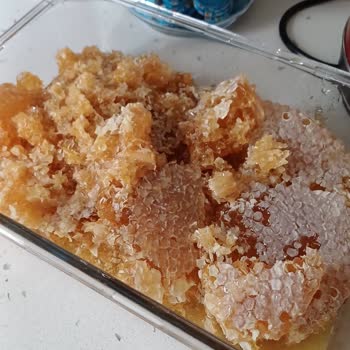 Göle Çapan Süt Ürünleri Kalitesizliği Ve Özensiz Kargolama