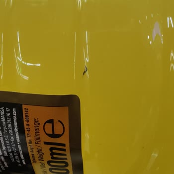 Yakamoz Turşuları Yakamoz Böcekli Limonata