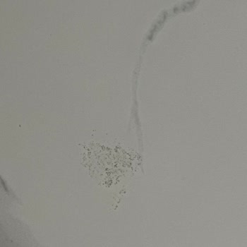 Decovita Deca-Vita Calacatta Sugar Serisi İle İlgili Tüketici Tecrübesi