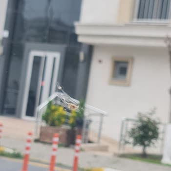 Scholl Concepts Swissvax Akbatı Swissvax Oto Yıkama Araçları Temizlemeden Bırakıyor