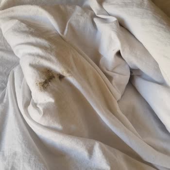 Kervan Butik Otel (Şanlıurfa) Çok Kötü Hizmet