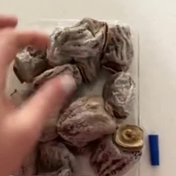Canat Kuruyemiş Küflü Cennet Hurması