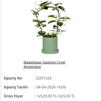 Salonbitkileri.com Canlı Çiçek Kargoda Zaman Aşımı 10 Gün
